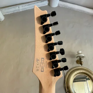 Brand new Ibanez 7-String Electric Guitar RG7320EX - Black Flat