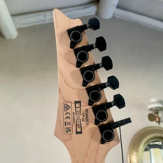 Brand new Ibanez Electric Guitar RGA42EX - Black Aurora Burst Matte