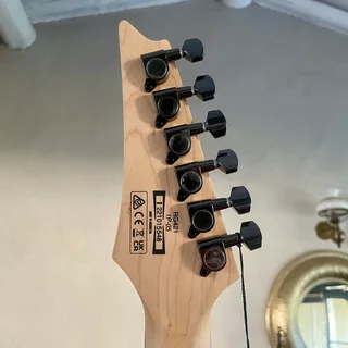 Brand new Ibanez Electric Guitar RG421 - Mahogany Oil