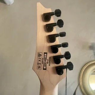 Brand new Ibanez Electric Guitar RGA42FM - Transparent Gray Flat