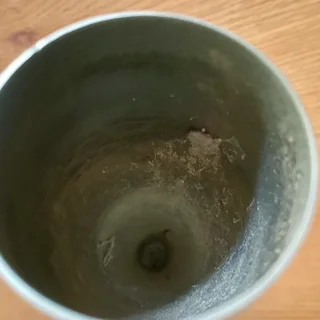 2 x Stainless Steel Champagne Flutes - Good condition - Sandton