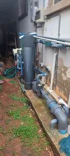 Variety of Israeli and Japanese Koi with full pump system