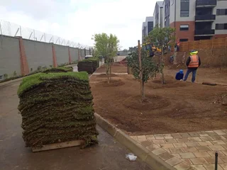 Grassfarm Instant Lawn sales &amp; deliver Kikuyu grass ,LM Grass .Compost &amp; Lawndressing