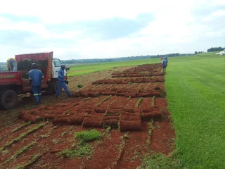 Grassfarm Instant Lawn sales & deliver Kikuyu grass ,LM Grass .Compost & Lawndressing..