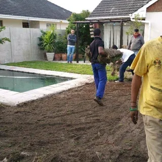 Grassfarm Instant Lawn sales &amp; deliver Kikuyu grass ,LM Grass .Compost &amp; Lawndressing..