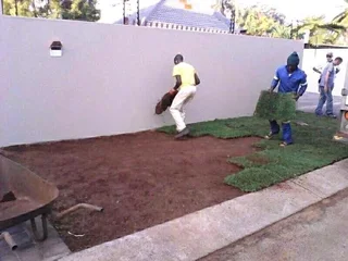 Grassfarm Instant Lawn sales &amp; deliver Kikuyu grass ,LM Grass .Compost &amp; Lawndressing..