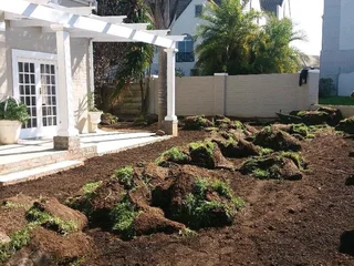 Grassfarm Instant Lawn sales &amp; deliver Kikuyu grass ,LM Grass .Compost &amp; Lawndressing..