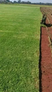 Grassfarm Instant Lawn sales &amp; deliver Kikuyu grass ,LM Grass .Compost &amp; Lawndressing