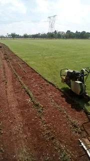 Grassfarm Instant Lawn sales &amp; deliver Kikuyu grass ,LM Grass .Compost &amp; Lawndressing