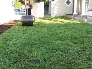 Grassfarm Instant Lawn sales &amp; deliver Kikuyu grass ,LM Grass .Compost &amp; Lawndressing.
