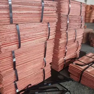 Business Opportunity