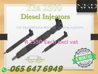 Kia 2500 Delphi Diesel Injectors