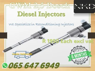 Gwm 2.5 Diesel Injectors