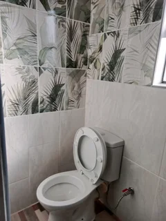 1 bedroom Cottage to let :primrose/germiston