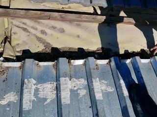 Roof Waterproofing Roofing