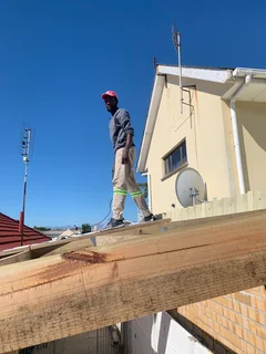 Professional painter and carpenter available