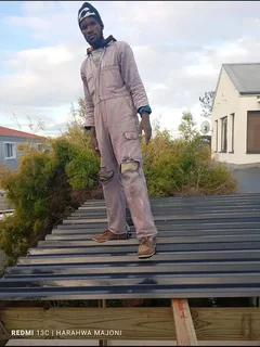 Professional painter and carpenter available