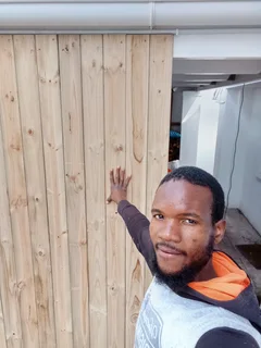 Professional painter and carpenter available