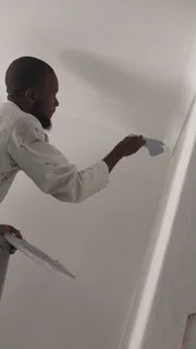 Professional painter and carpenter available