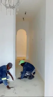 Professional painter and carpenter available