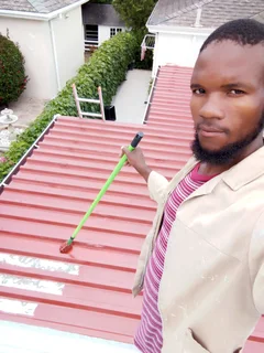 Professional painter and carpenter available