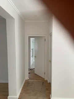 Painter and carpenter available Cape Town