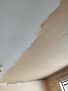 Professional painter and carpenter available