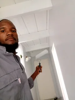 Professional painter and carpenter available