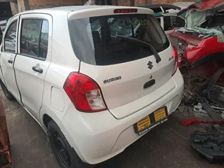 Suzuki celerio 2019 model