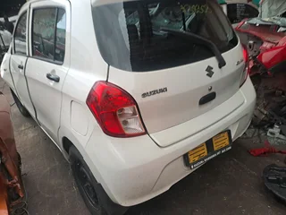 Suzuki celerio 2019 model