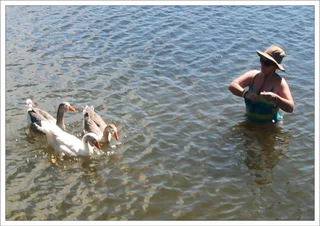 House and Pet Sitting