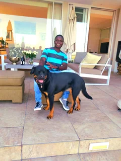 Experience Garden available