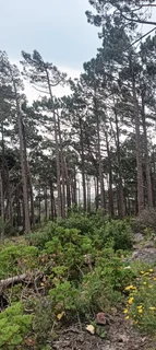 0734021070 I'm looking for a place to stay around Gardens, Oranjezicht, Vredehoek etc.