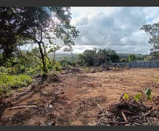 Land - Ad posted by Raven Robinson