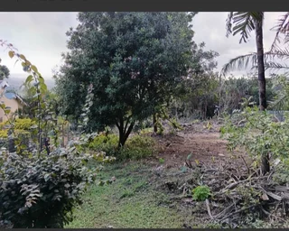 Land - Ad posted by Raven Robinson