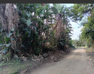 Land - Ad posted by Raven Robinson