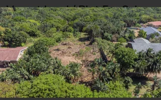 Land - Ad posted by Raven Robinson