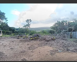 Land - Ad posted by Raven Robinson