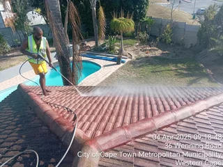 www.lgpaintingservices.co.za company