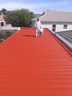 www.lgpaintingservices.co.za company