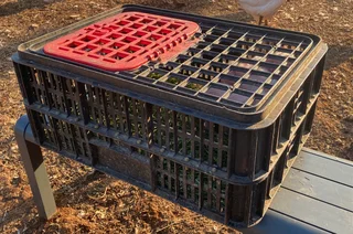 Chicken crates