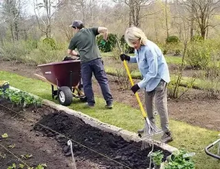 Lawn dressing. Compost . Top soil