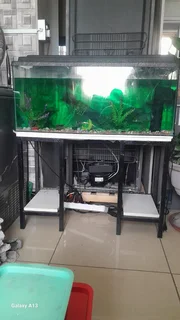 Fish tank for sale