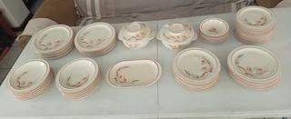 59 Piece Drostdy Stonecraft Dinner Set
