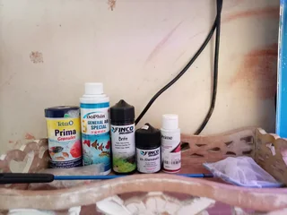 Fish with tank and equipment