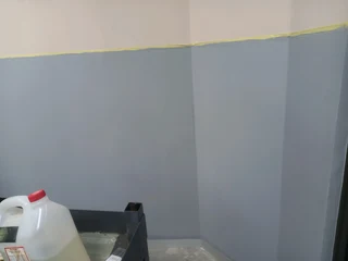 Painting projects and services