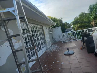 Professional painter