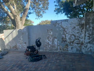 Professional and reliable painter