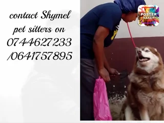 Shymel domestic helpers