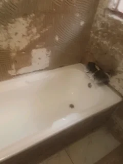 Bathtub Re Enameling